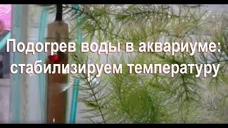 Уменьшаем мощность подогревателя воды в аквариуме: стабилизируем на нужной температуре (часть 2)