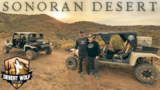 Epic Sonoran Desert Tomcar Adventure with Desert Wolf Tours!! | Phoenix, Arizona | Dec. 2024