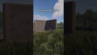 Как рейдов в rust #rust #раст