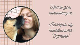 Мелодия Хатико На Пианино | HACHI: A DOG'S TALE Piano Tutorial