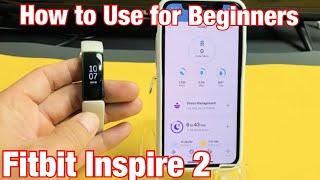 Fitbit Inspire 2: How to Use for Beginners (Everything You Need to Know)