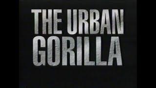 National Geographic: The Urban Gorilla (1992)