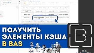 BAS: Модуль Сеть - Получить все элементы кэша или выбранный элемент в БАС