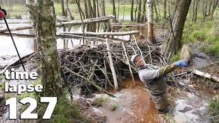 Manual Beaver Dam Removal No.127 - A Lot of Work But My Wife Helped Me - Time-Lapse Version