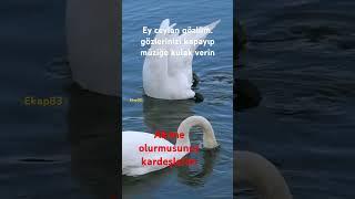5 Haziran 2025