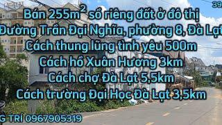 Bán 255m², sổ riêng đất ở đô thị, đường Trần Đại Nghĩa, phường 8, Đà Lạt, giá 16,5 tỉ. Lh 0328506909