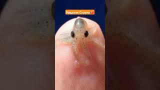 Прими и отпусти #будда #буддизмспрута #карма #буддадхарма #топ