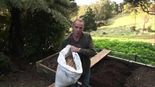 How to improve your soil