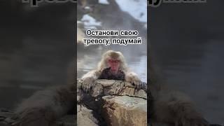 жизнь это самое ценное ,что только может быть