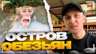 УГАРНАЯ ПРОГУЛКА ПО ОСТРОВУ ОБЕЗЬЯН!