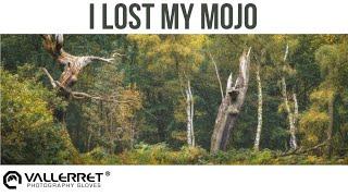 I lost my MOJO, but found it at Cannock Chase +  Vallerret Markhof V3 Pro Review