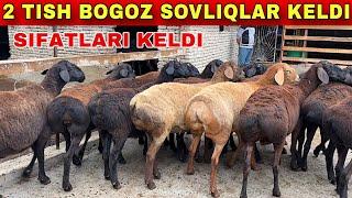 2 TISH UDAR BOGOZ SOVLIQLAR KELDI SIFATIGA GAP YOQ