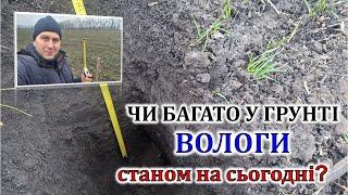 Чи багато вологи у ґрунті станом на сьогодні?