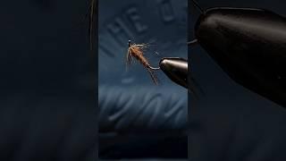 Hare and Partridge Cruncher. #flytying #flyfish #fishing