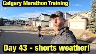 Calgary Marathon Training Vlog || Day 43 getting it done