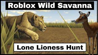 Roblox Wild Savanna - Lioness hunt