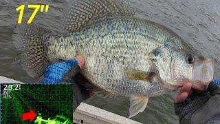 Crappie Fishing – HUGE SLAB! My BIGGEST Crappie on Video! (So Far)