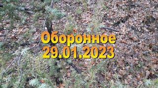 Оборонное 29 01 2023