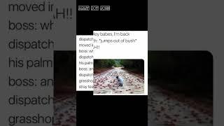 Funny BTS memes #285 (Dispatch X BTS edition pt. 4)