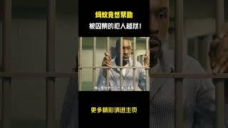 蚂蚁竟然帮助被囚禁的犯人越狱! #电影解说 #movie