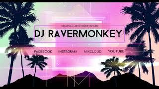 DJ RAVERMONKEY