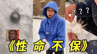 峻宁峻宁：下雪打雪仗一定要注意！雪球上扎牙签、雪球里裹铁球！这是拿命玩啊！#打雪仗#搞笑#损友#挑战