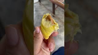#myfavorite #creamy #durian