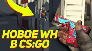 ЛЕГАЛЬНЫЙ БАГ НА WH ЗА КОТОРЫЙ НЕ ДАДУТ БАН (CS:GO)