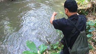 cuma iseng & paling sering terjadi, cuma tiga tajur bisa dapat ikan ini ..