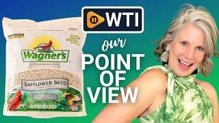 Wagner's Bird Food Safflower Seeds | Our Point Of View