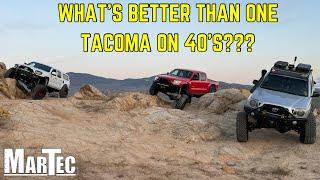 Taking 3 MarTec SAS Tacomas Wheeling!