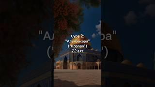 Сура 2: "Аль-Бакара" ("Корова") 22 аят #аллах #ислам #коран #альбакара  #длявас #ютуб #сура #аят