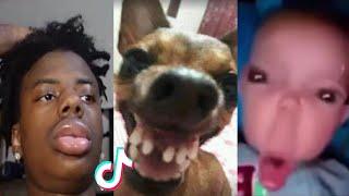 THE FUNNIEST TIK TOK MEMES Of August 2023 | (Try Not To LAUGH)  | #15