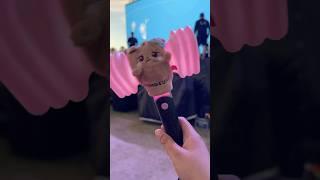 COACHELLA 2025 WEEKEND 1 RECAP #COACHELLA #BOTHCHELLA #VLOG #JENCHELLA #LISACHELLA