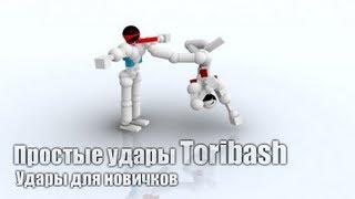 Простые удары для игры Toribash. Удары для новичков