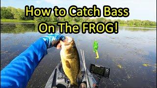 Learn How to Fish a Frog Lure for Bass (Frog Fishing Tips for Beginners)