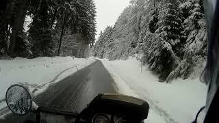 Heimfahrt Elefantentreffen 2019 Bayerischen Wald