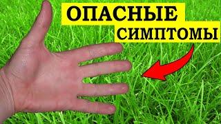 What DEADLY DISEASE does the trembling in the Hands indicate? Hand tremor causes, symptoms (not trea