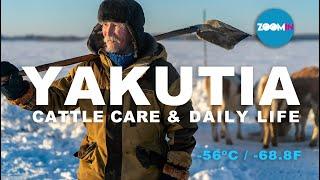 Cattle care and daily life in the coldest village on earth  l  Yakutia