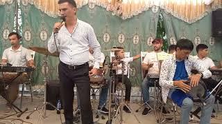 Пахтабод  туй