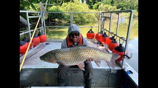 Conservation Conversation: Asian carp with Alex Price