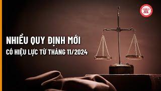 Nhiều quy định mới có hiệu lực từ tháng 11/2024 | THƯ VIỆN PHÁP LUẬT