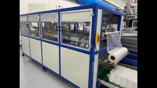 Fully-Auto Bagger Machine for wet wipe bottles Automatic Bagging Machine