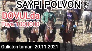 SAYPI POLVON XOSHIM AKANI DOVULIDA TUYA 1MLNGA TASHLADI,#GULISTON TUMANI 20.11.2021