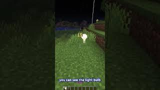 Minecraft HIDDEN Light block