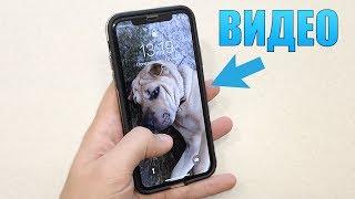 Ставим видео на экран блокировки iPhone! Скрытая функция iPhone! Кастомизация iPhone!