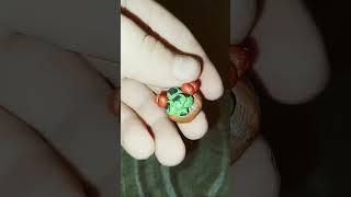 Слепил клубнику и кукурузу из игры «Вырасти сад» из пластилина