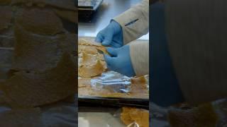 Severe Heart Disease Calls for a Precise, Definitive Food Prescription
