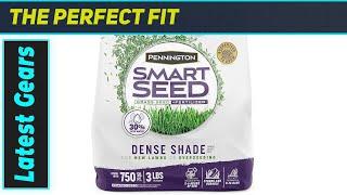 Pennington Smart Seed Dense Shade: BEST Grass Seed?