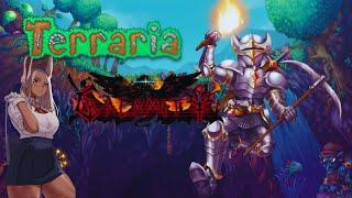 Terraria Calamity...